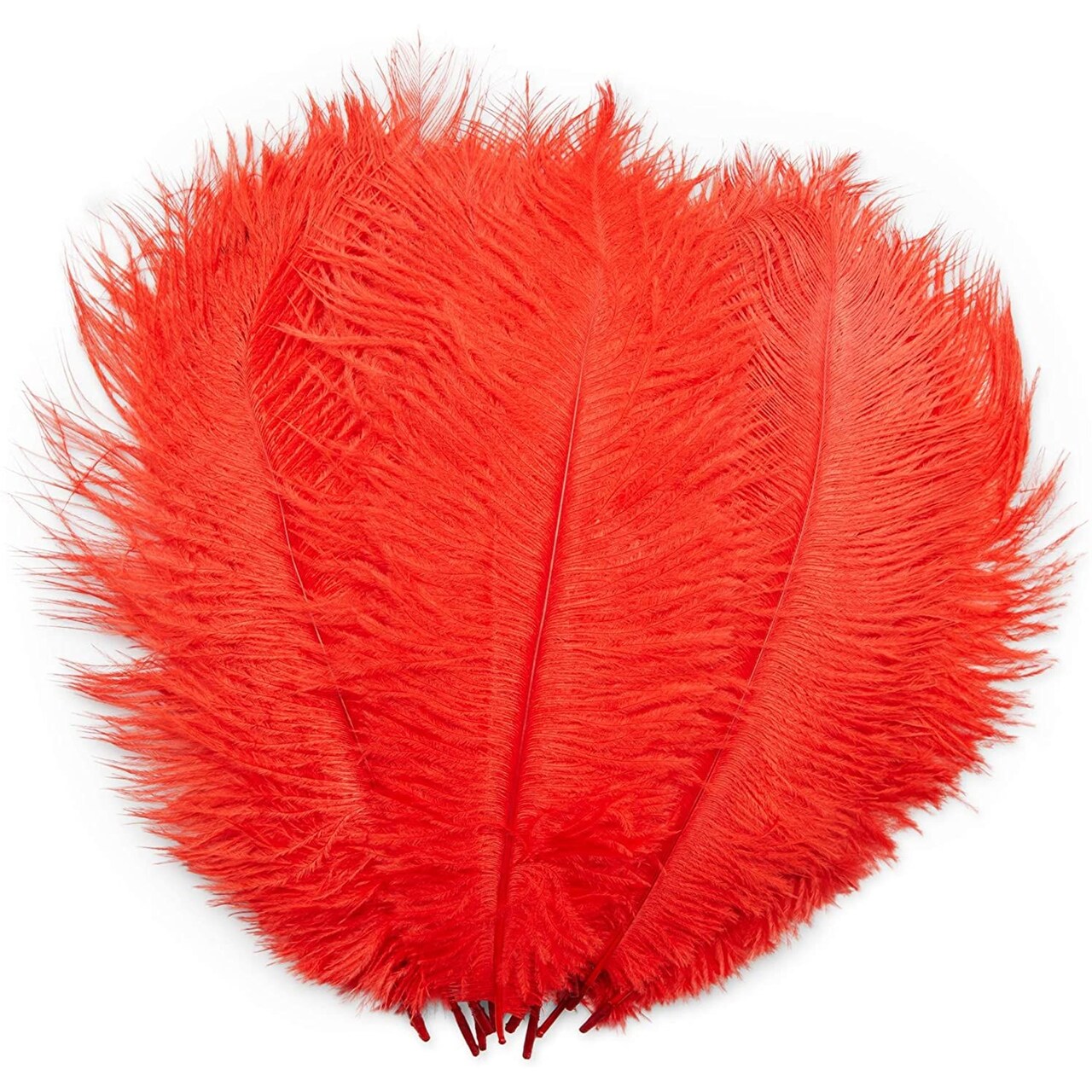 Wholesale ostrich feathers deals